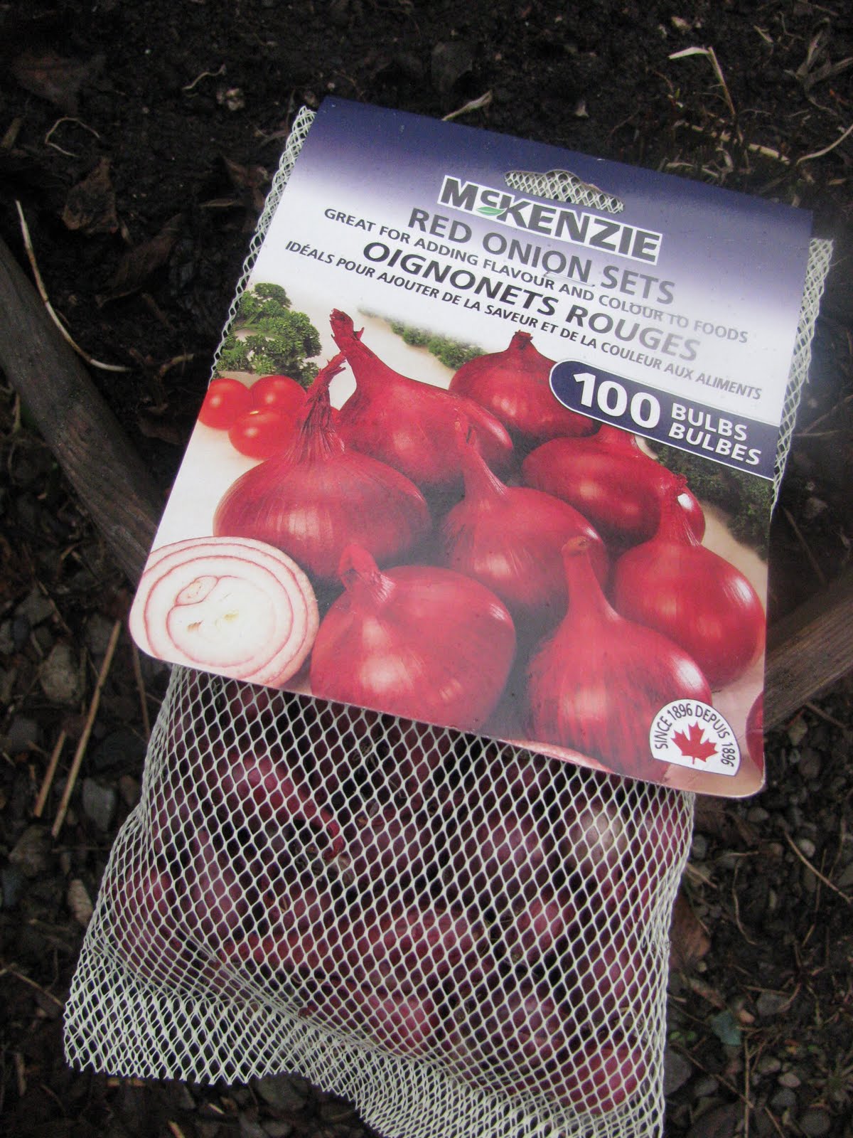 My Roots Run Deep (Original) Why Plant Onion Sets? I