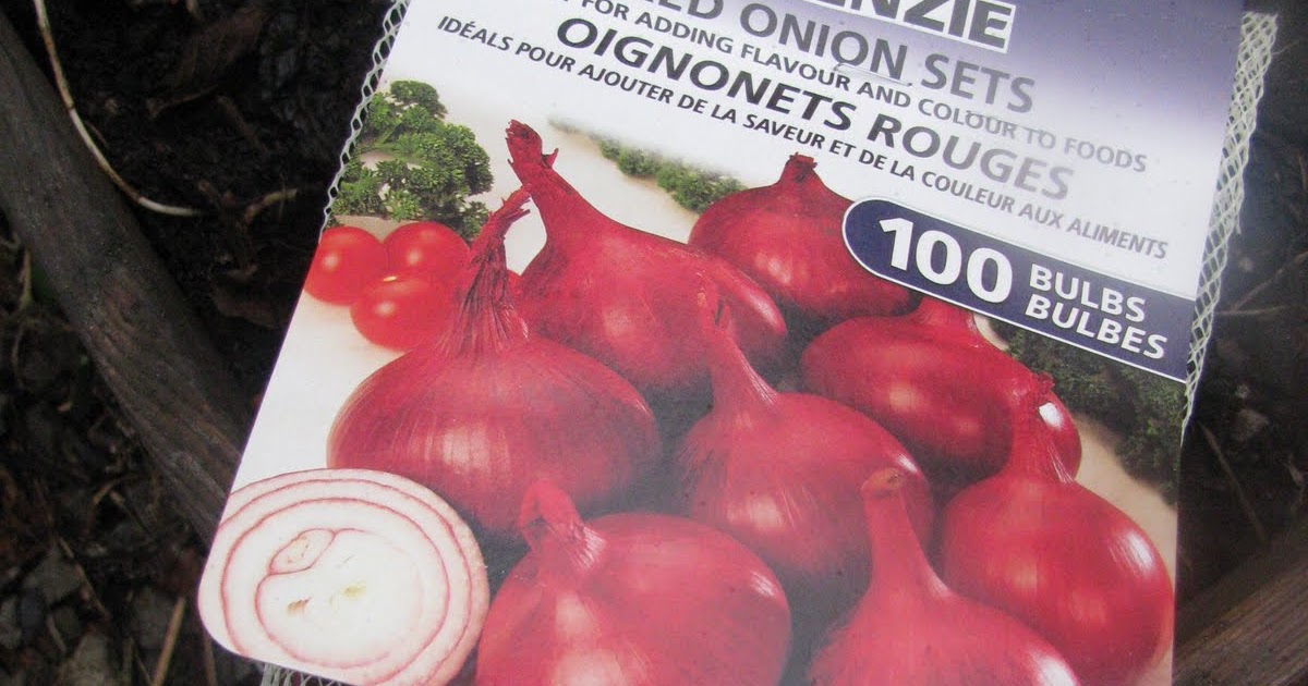 My Roots Run Deep Why Plant Onion Sets? I Blame the Garlic!