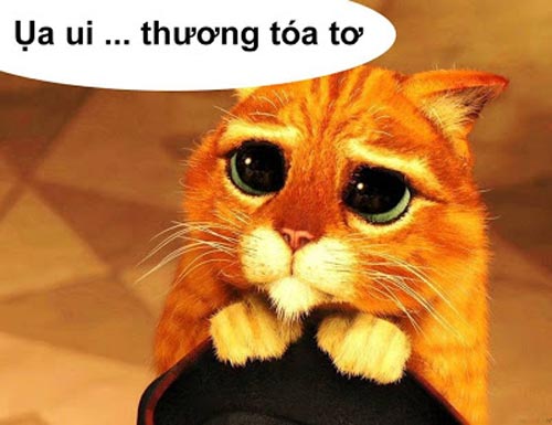 chế-comment-facebook chế-comment-facebook