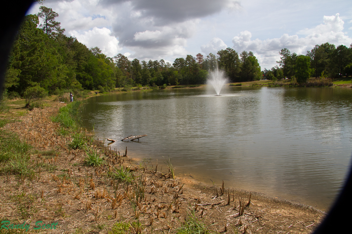 East Texas Piney Woods Ponds under stress