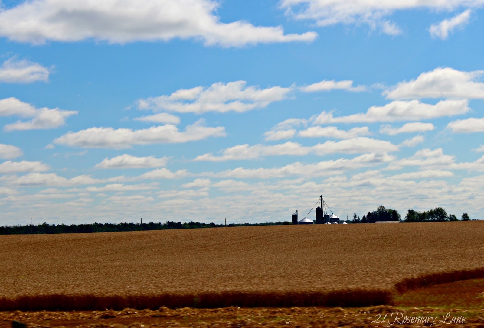 21 Rosemary Lane Images from the Side of the Road