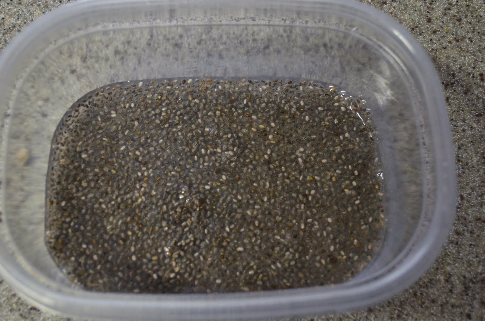 Mancubs and Divas Frog Life Cycle Montessoriinspired Unit Study