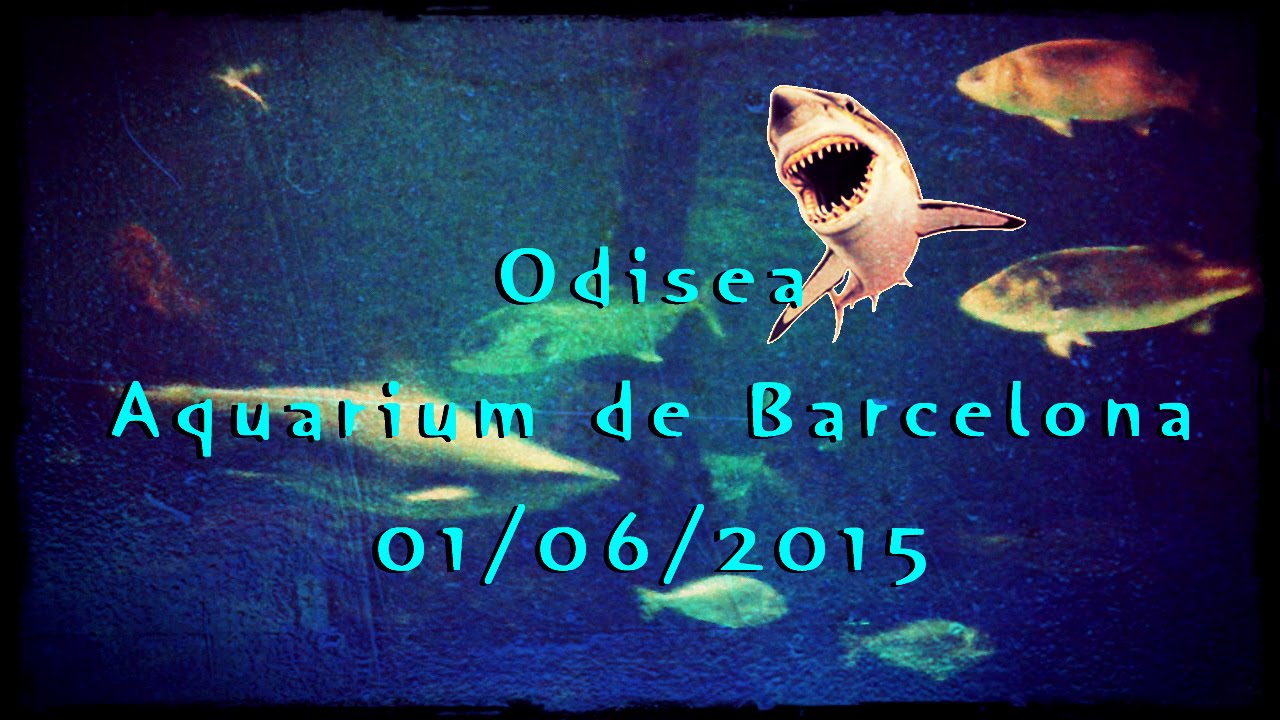 Odisea Aquarium de Barcelona 01/06/2015