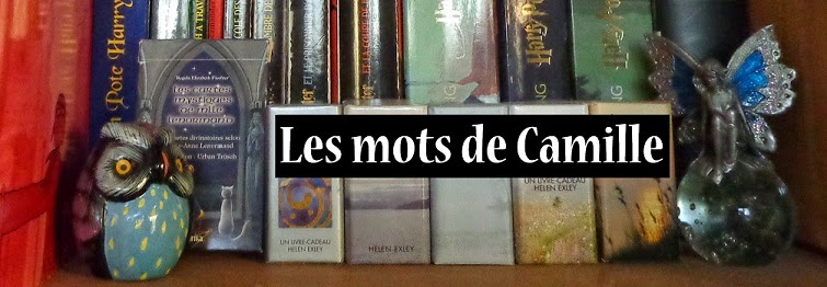 Les mots de Camille