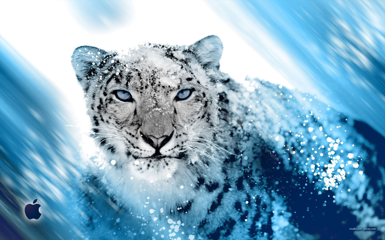 http://1.bp.blogspot.com/-b1-resSRFZA/TmuOLcUGwPI/AAAAAAAABwc/jSCMsv5t0rg/s1600/Snow_Leopard.jpg