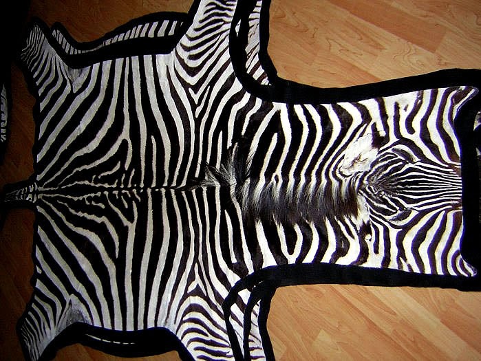 Reviews And Tips Choice of USA Rugs Zebra Skin Rugs Tips on Buying