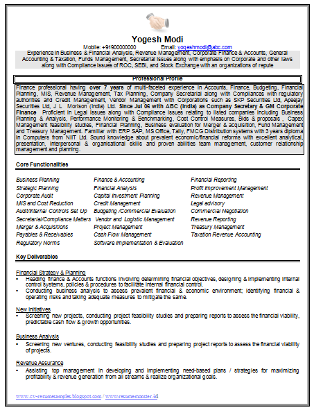 revenue accountant resumes
