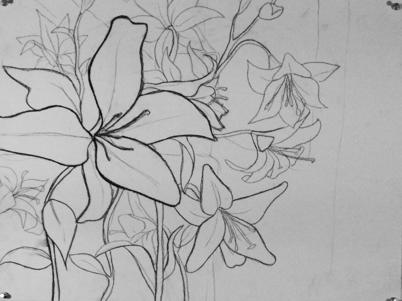 Basic Drawing 1 Freehand Perspective Plants & Flowers