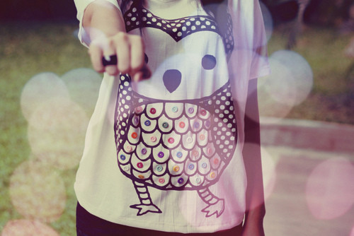 Mengais Senja All about the OWL Mengais Senja All about the OWL
