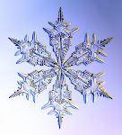 a snowflake