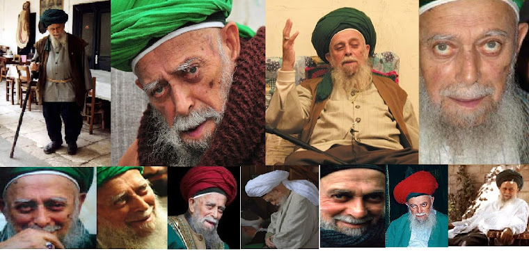 Nuestro Maestro Mawlana Sheikh Nazim