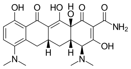 医療界に革命を呼ぶ "Minocycline= PAK1-inhibitor"