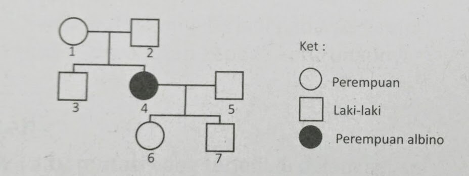 Bionomipa Indikator 34 Pewarisan Cacat/Penyakit Menurun