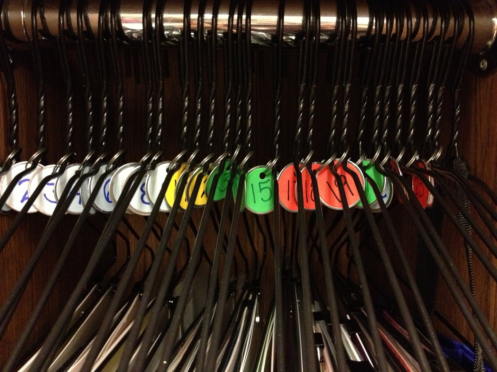 FACS Classroom Ideas Poster Storage