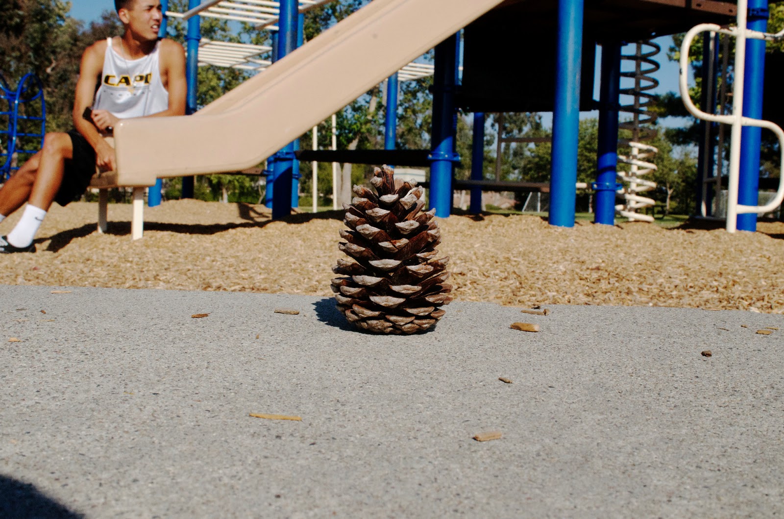 Bathgate Elementary at Catherine Brinkmann blog