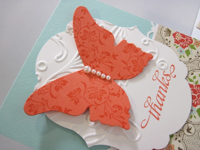 Coral Butterfly
