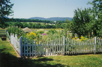 Backyard Fence