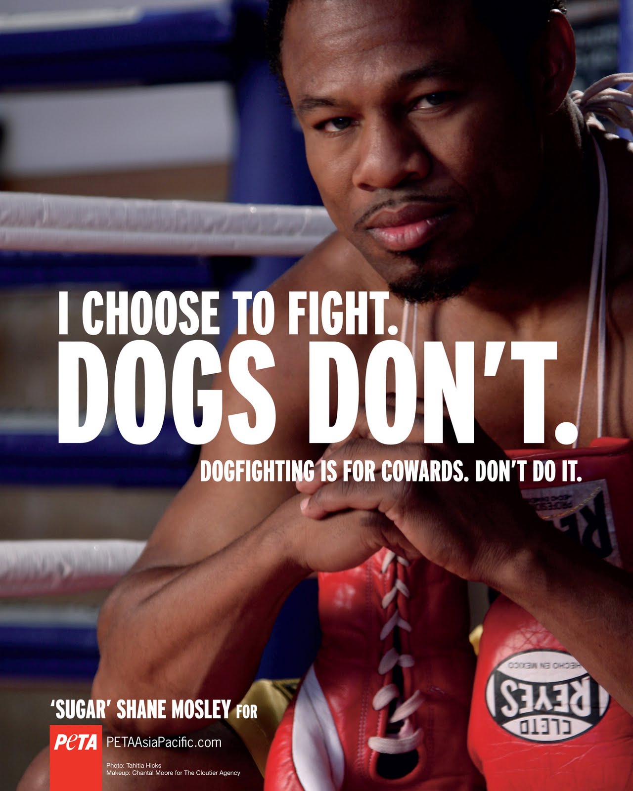 don king and boxing essay don king and boxing essay