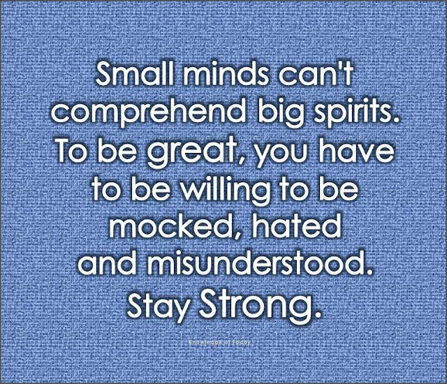 Small+minds+can't+comprehend+bit+spirits+to+be+great+you+have+to+be+willing+to+be+mocked+hated+and+misunderstood+stay+strong.jpg