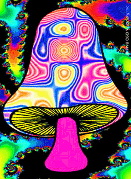 Hongos Magicos