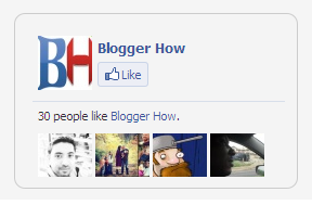 1 row of subscriber images facebook like box 2