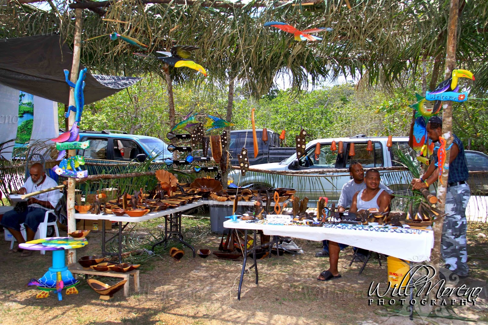 Platinum International Real Estate and Investments Belize Division