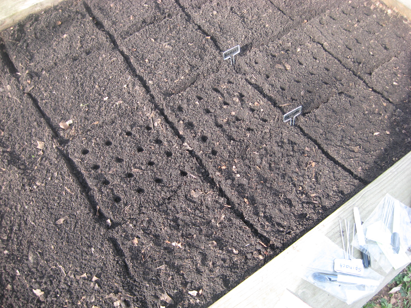 Sustainable Saturday - Suburban Gardening with Children: Square Foot