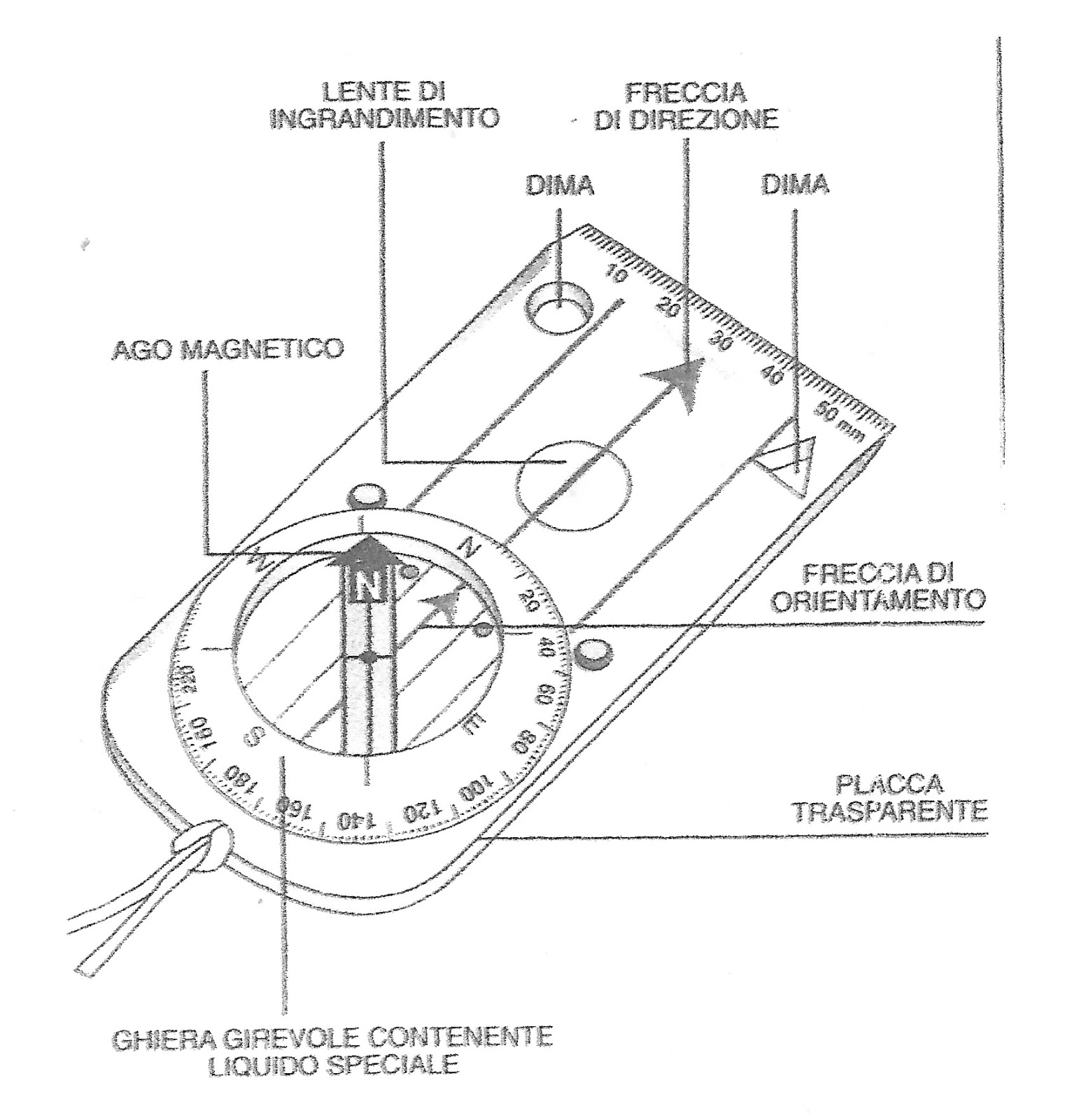 Bushcraft E Medicina Uso Della Bussola Per Muoversi In Una Certa Direzione