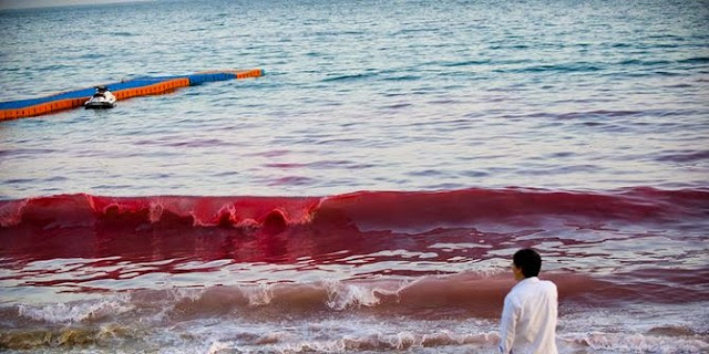 Muncul ombak darah di pantai selatan China