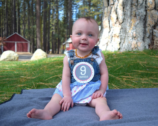 Twins at 9 Months