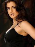 Amisha patel topless images