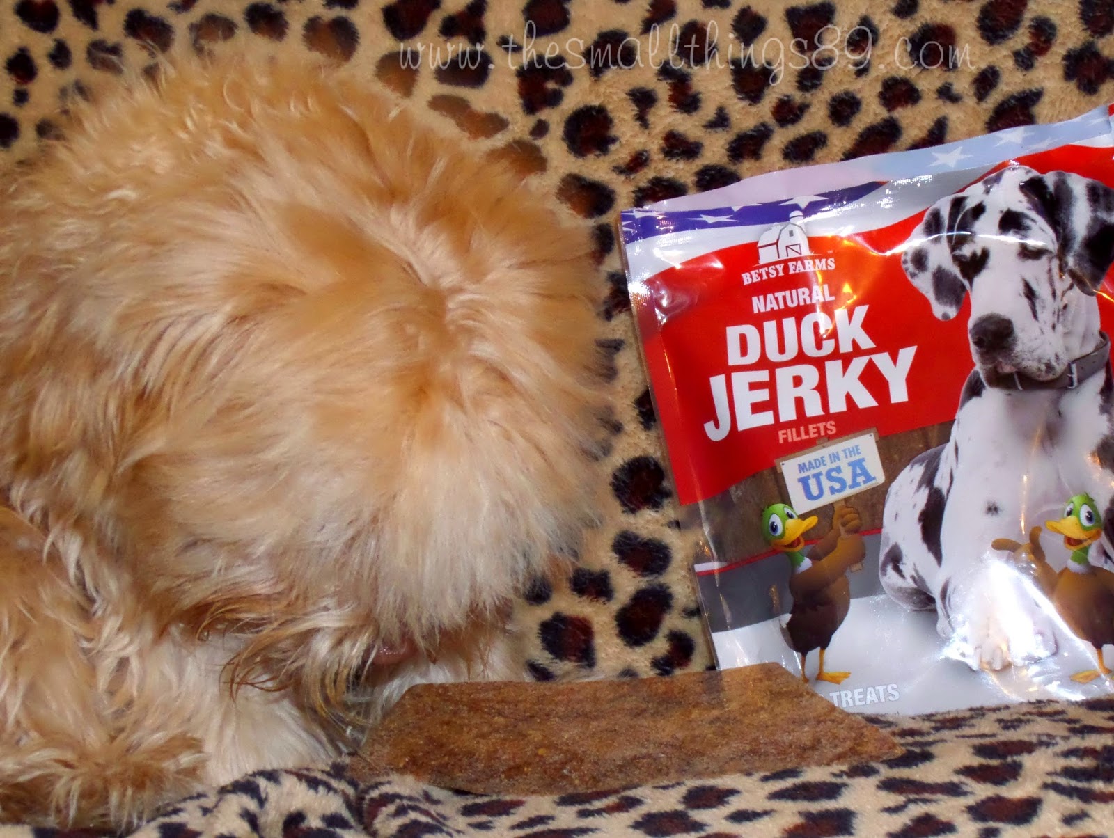Betsy Farms Made in the USA Turkey & Duck Jerky Dog Treats {Review}