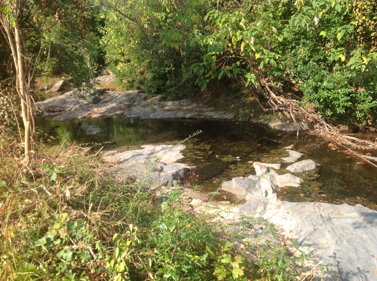 NC Greenways Geology Rocky Branch Trail