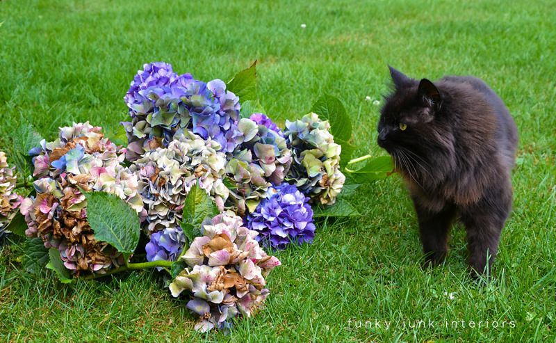 What Grows There May 2019