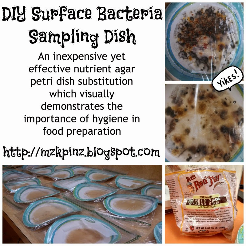 MzKaylaPinz DIY Surface Bacteria Sampling Dish Vegan