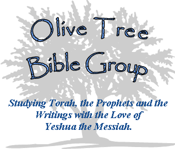 Olive Tree Image