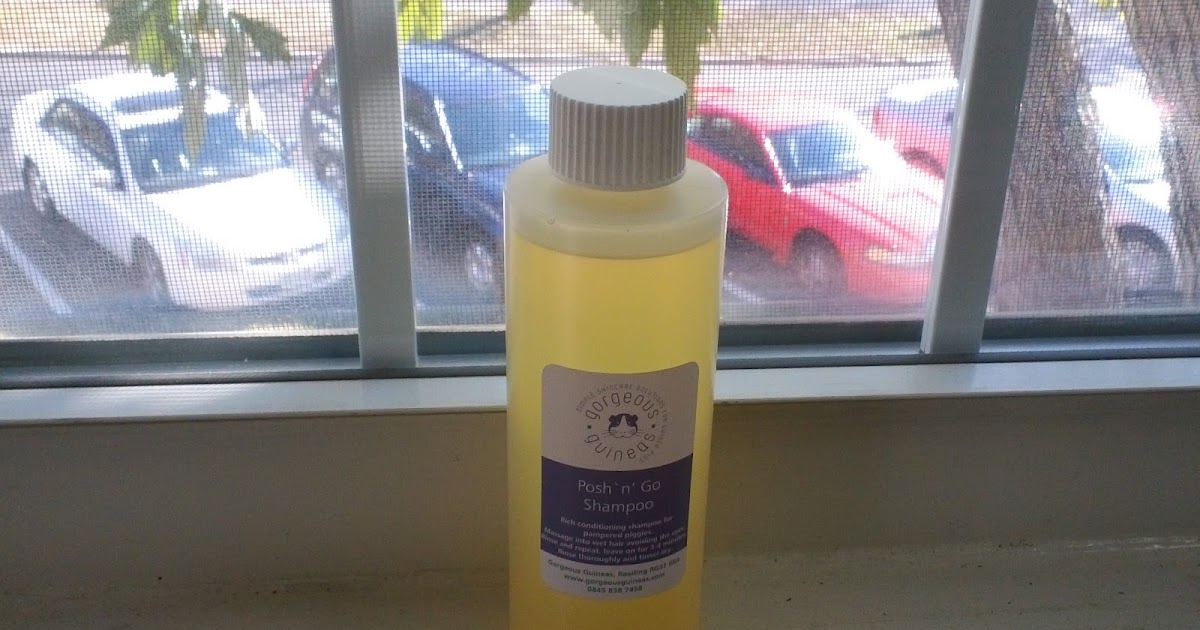 Cavy Savvy A Guinea Pig Blog Product Review Guineas Posh 'n