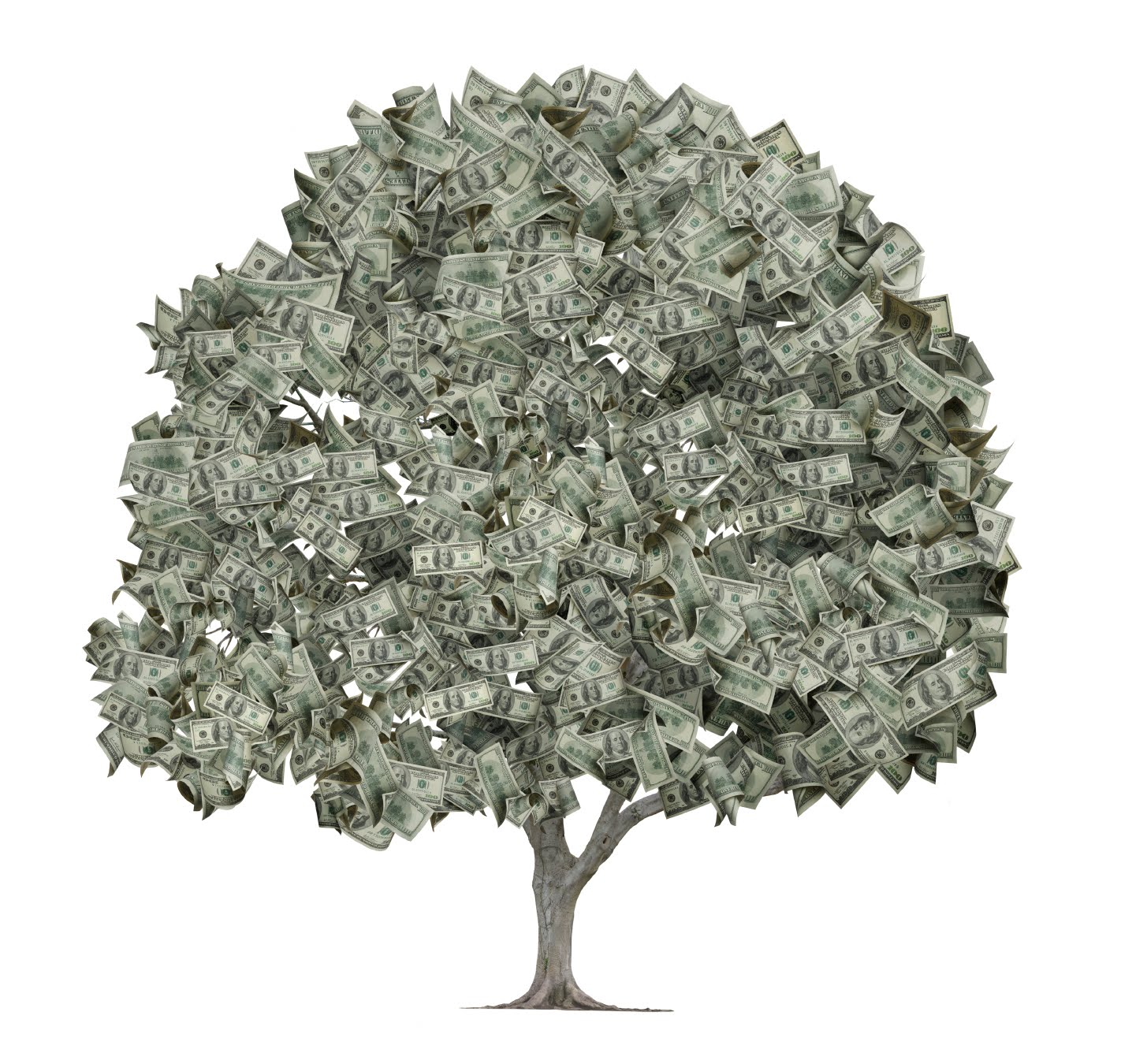 http://1.bp.blogspot.com/-bD6IWKz5240/T9FEA58n90I/AAAAAAAADak/N_AnLxwZR50/s1600/iStock_money-tree.jpg