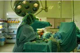 Pets Diet Food Raw Food Diet Plans Dog Diet After Gallbladder Removal