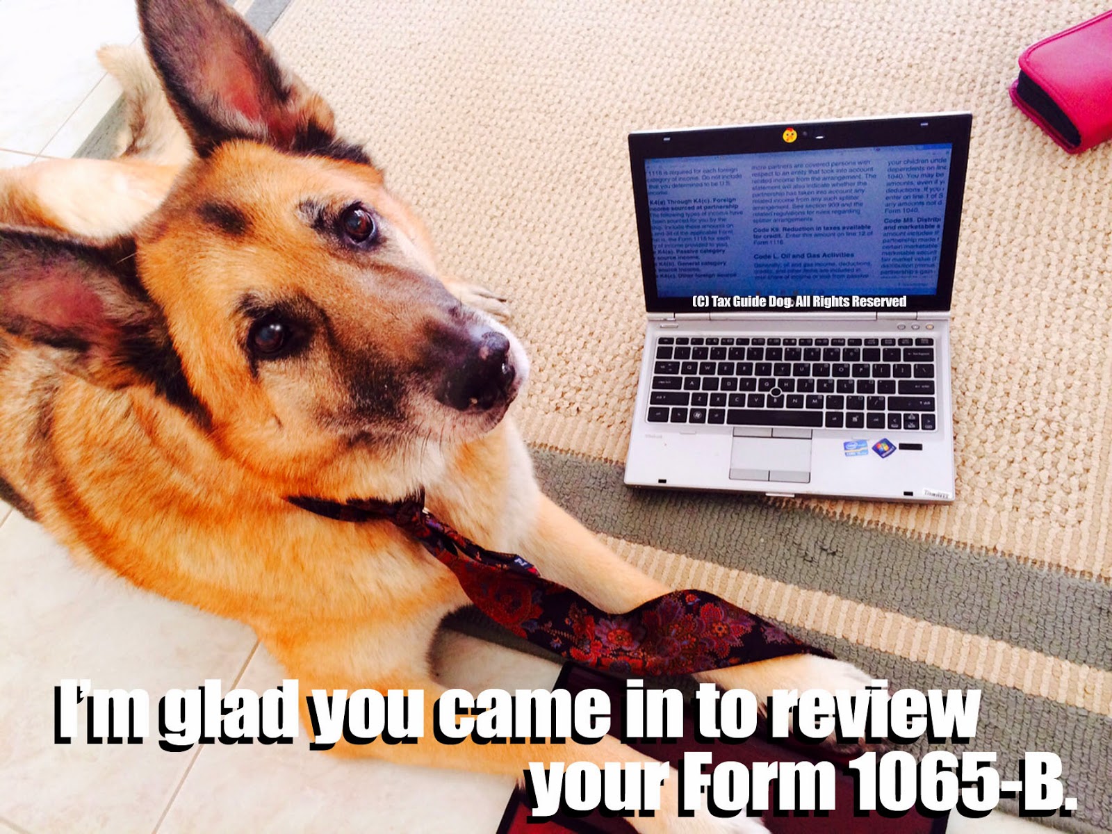 Tax Guide Dog Specialization.