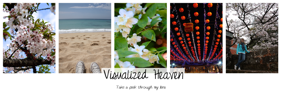 Visualized Heaven