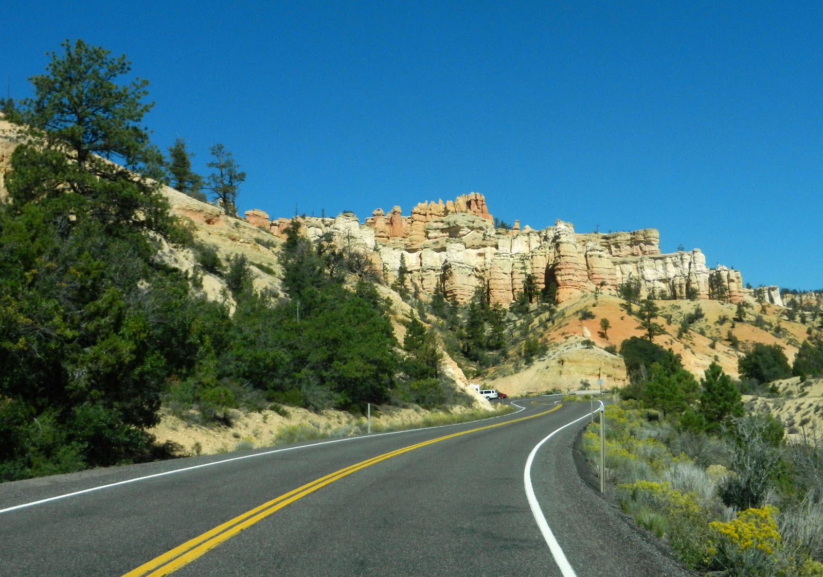 Cat Patches Kanab, Utah