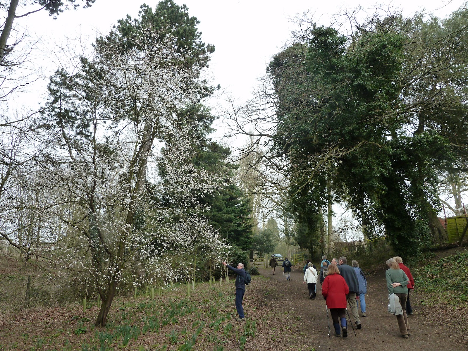 Devizes Days in Words and Pictures 2015 A Walk around Drew's Pond
