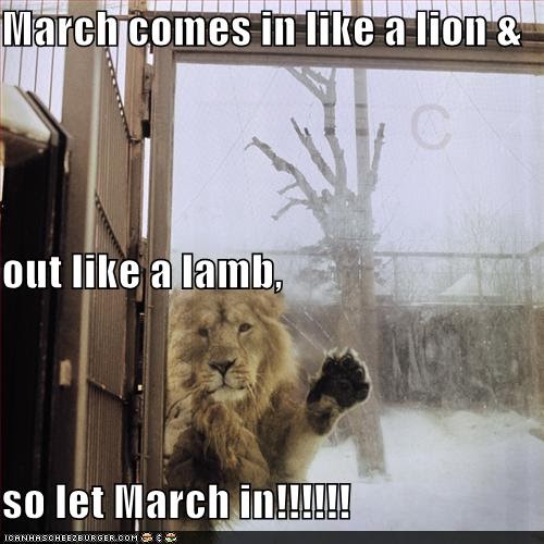 The Raving Queen March Comes In Like A Lion, Darlings!!!!!!!!!!!!!!!