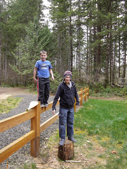 Boys on the fence