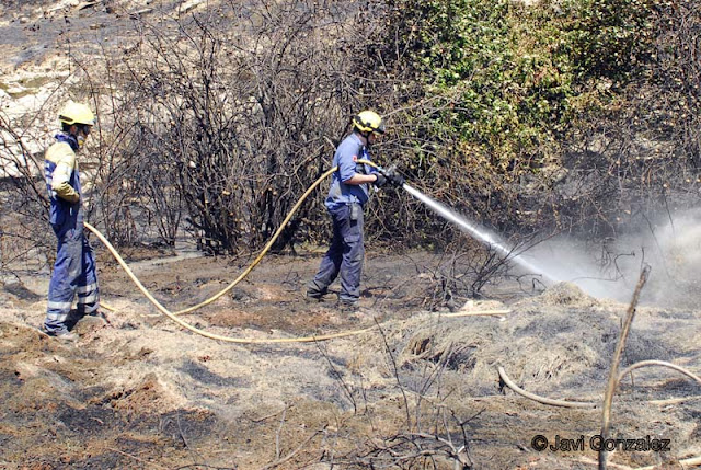 incendios, Mequinenza