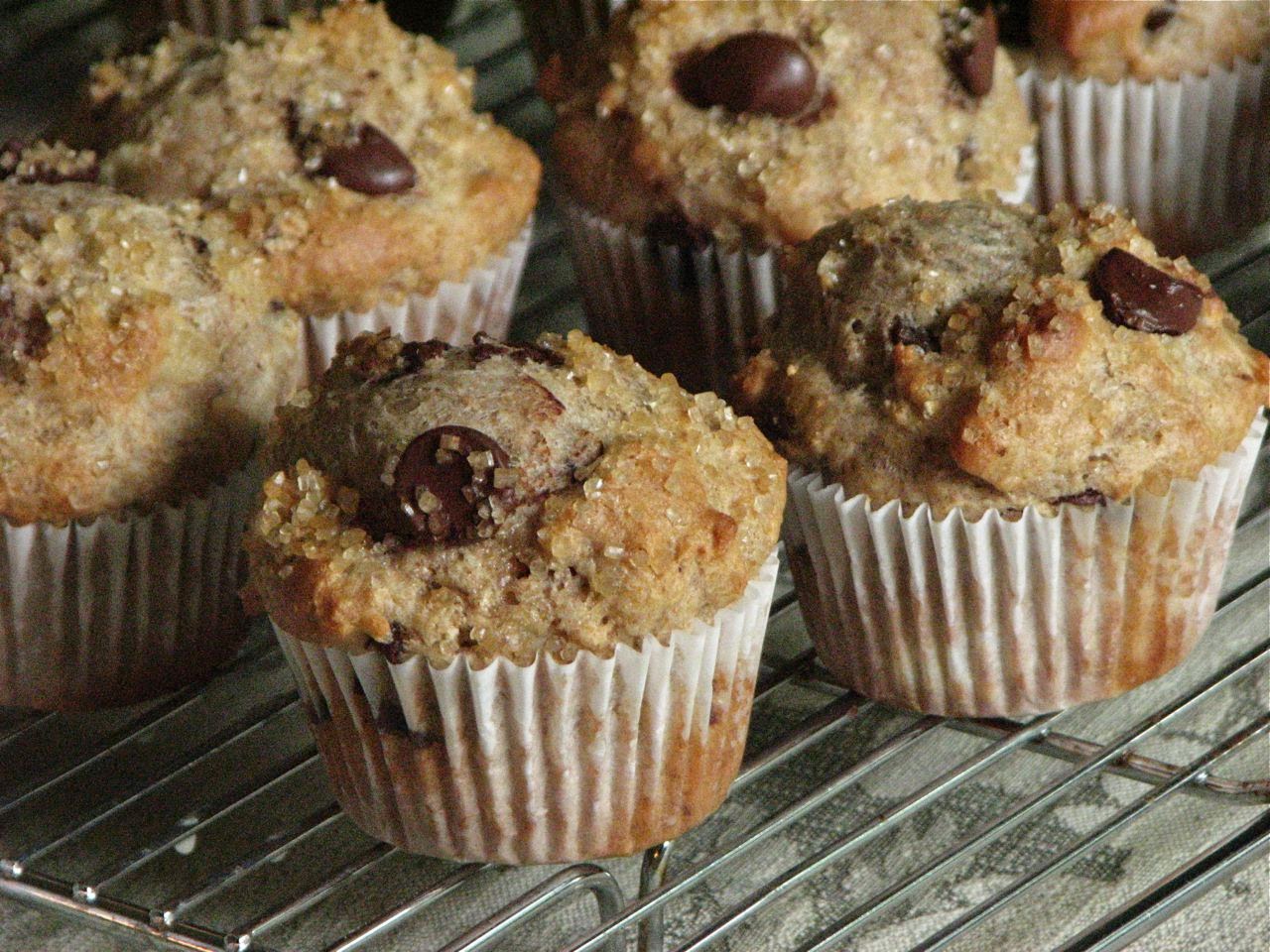 Delectably Mine Whole Wheat Chocolate Chip Muffins