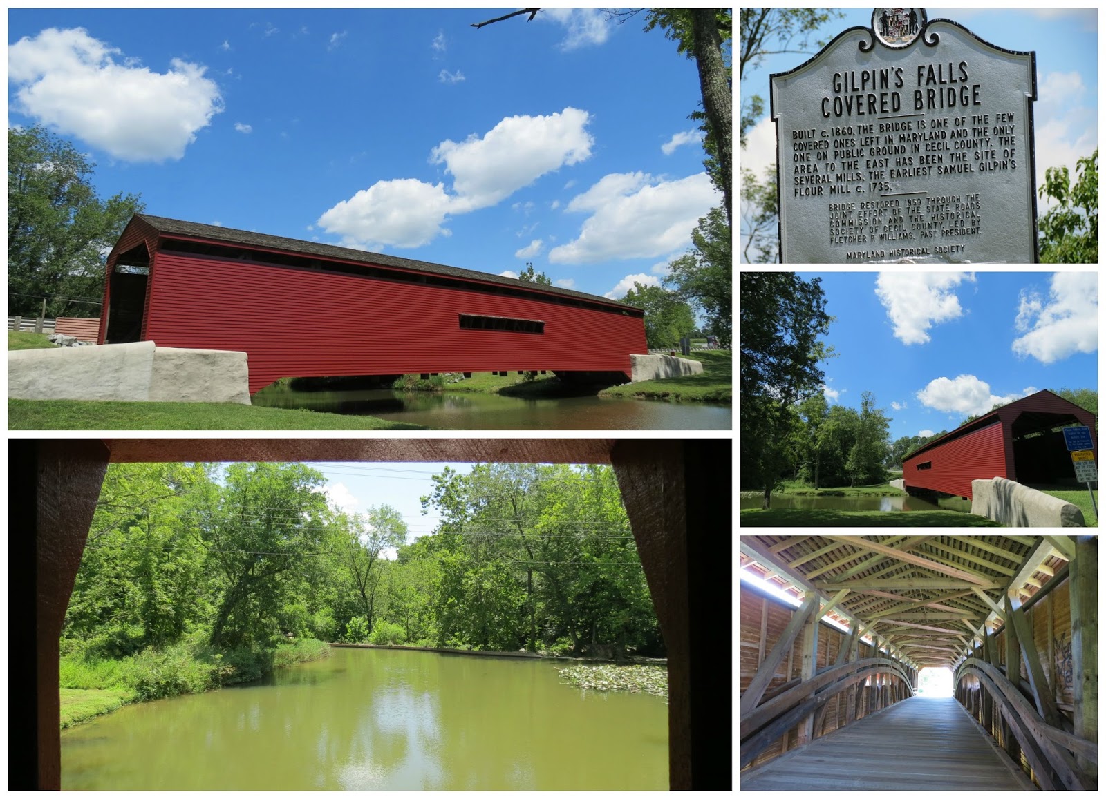 Viewing nature with Eileen Fair Hill NRMA