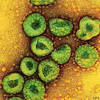 Abu Dhabi, Patient, Hospital, Treatment, Gulf, Coronavirus, MERS Coronavirus Is on a Serious Rampage