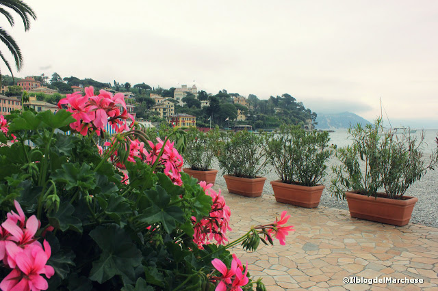 John Walker & Sons Voyager a Portofino